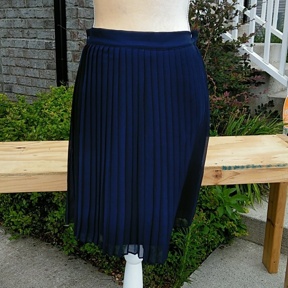 Large Forever 21 Navy Pleated Skirt